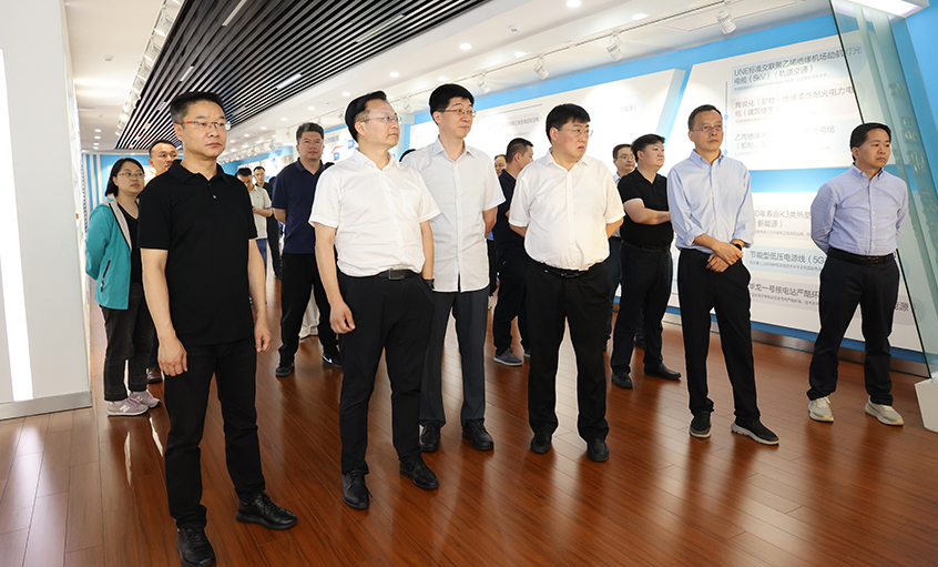 长三角信息化专题组一行来leyu电缆调研